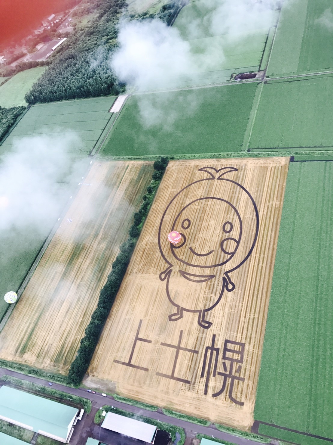 2017年 北海道バルーンフェスティバル
